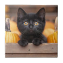 Suche nach patch fliesen Halloween