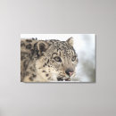 Suche nach wilds poster leinwandbilder Schnee