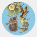 Recherche de ornithologie autocollants Observation des oiseaux