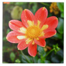 Suche nach regentropfen fliesen Gelb