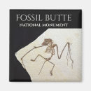 Suche nach fossil magnete Geologie