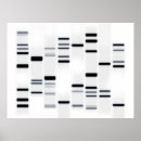 Recherche de dna posters Chromosome