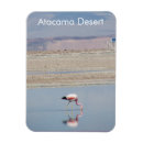 Suche nach atacama magnete Chile