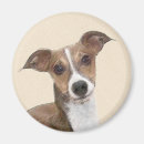 Recherche de levrier magnets Irlandais