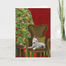 Suche nach jackrussell terrier karten Feiertag