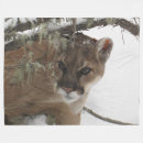 Recherche de puma Nature