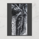 Recherche de jungles cartes postales Noir et blanc