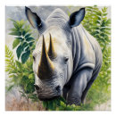 Recherche de rhinocéros blanc posters Nature