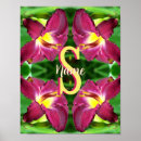 Suche nach taglilien poster Natur