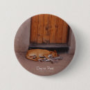 Recherche de repos badges Chien