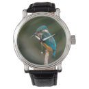 Recherche de pêcheurs montres Martin pêcheur
