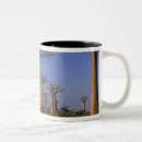 Suche nach baobab tassen Natur