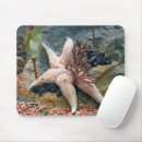Recherche de aquatique tapis souris Étoile