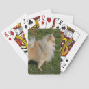 Recherche de spitz jeux de cartes Pomeranian