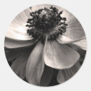 Suche nach mit beileid aufkleber Natur