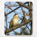 Suche nach niederlassungen mousepads Vögel