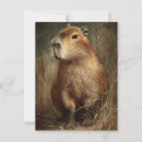 Suche nach capybara postkarten Vintag