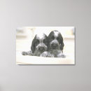 Suche nach inländischer hund poster Inländisches badezimmer