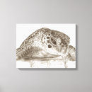 Suche nach schildkrötekunst Meeresschildkröte
