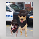 Suche nach gekleideter hund poster Spaß