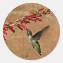 Suche nach kolibris aufkleber Tiere