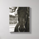 Recherche de copies de chevaux Cheval