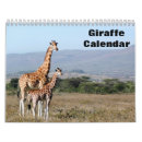 Suche nach giraffen kalender 2025