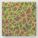 Recherche de chartreuse dessous de verres Couleur solide