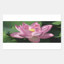 Recherche de lotus rose autocollants Nénuphar