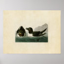 Recherche de rasoir posters Illustration