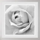 Suche nach einfarbige poster Mit blumen