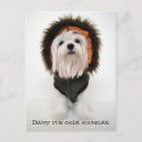 Recherche de ski chien cartes invitations Hiver