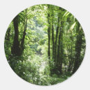 Suche nach regenwald aufkleber Pflanze