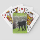 Recherche de bovin jeux de cartes Animal