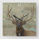 Recherche de velours photographie Photographie de faune
