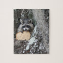 Recherche de raccoon puzzles Adorable