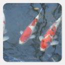 Suche nach koi teich aufkleber Horizontal