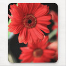 Recherche de gerbera tapis souris Marguerite
