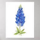 Suche nach texas bluebonnet poster Liebe