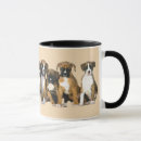 Recherche de boxeurs tasses Chien
