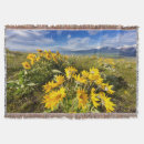 Suche nach bison decken Landschaft