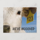 Suche nach markierung postkarten Tier