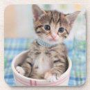 Recherche de personne chat dessous de verres Mignon