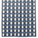 Recherche de scarabée Motif