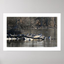 Recherche de buch posters Paysage