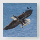 Recherche de nous aigle horloges Oiseau