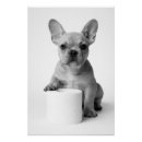 Recherche de bouledogue francais posters Chien mignon