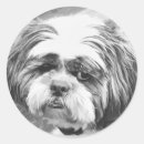 Suche nach shih tzu hund aufkleber Hundefreunde