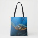 Suche nach chelonia Chelonia mydas