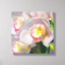 Suche nach orchids leinwandbilder Fotografie